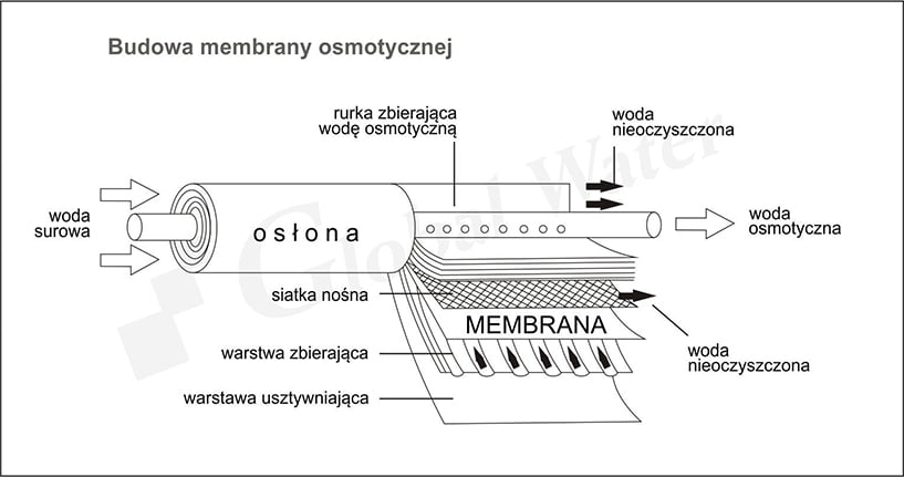 membrana osmotyczna schemat